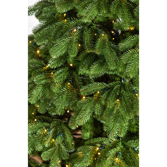 Colorado LED Nordmann 210cm 3D Artificial Christmas Tree with Lights Colorado LED Nordmann 210cm 3D Artificial Christmas Tree with Lights