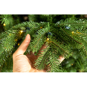 Colorado LED Nordmann 230cm 3D Műfenyő Világítással Colorado LED Nordmann 230cm 3D Műfenyő Világítással