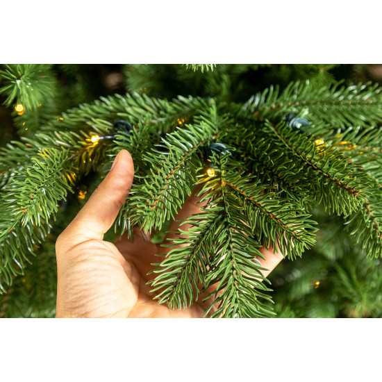 Colorado LED Nordmann 210cm 3D Artificial Christmas Tree with Lights Colorado LED Nordmann 210cm 3D Artificial Christmas Tree with Lights