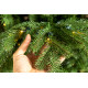 Colorado LED Nordmann 210cm 3D Artificial Christmas Tree with Lights Colorado LED Nordmann 210cm 3D Artificial Christmas Tree with Lights