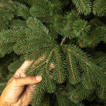 Colorado Nordmann 150cm 3D Műfenyő