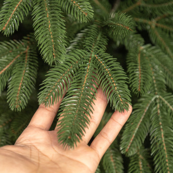 Everest Jegenyefenyő 210cm 3D Műfenyő