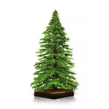ALPINE TREE Nagy méretű 1040cm Műfenyő ALPINE TREE Nagy méretű 1040cm Műfenyő