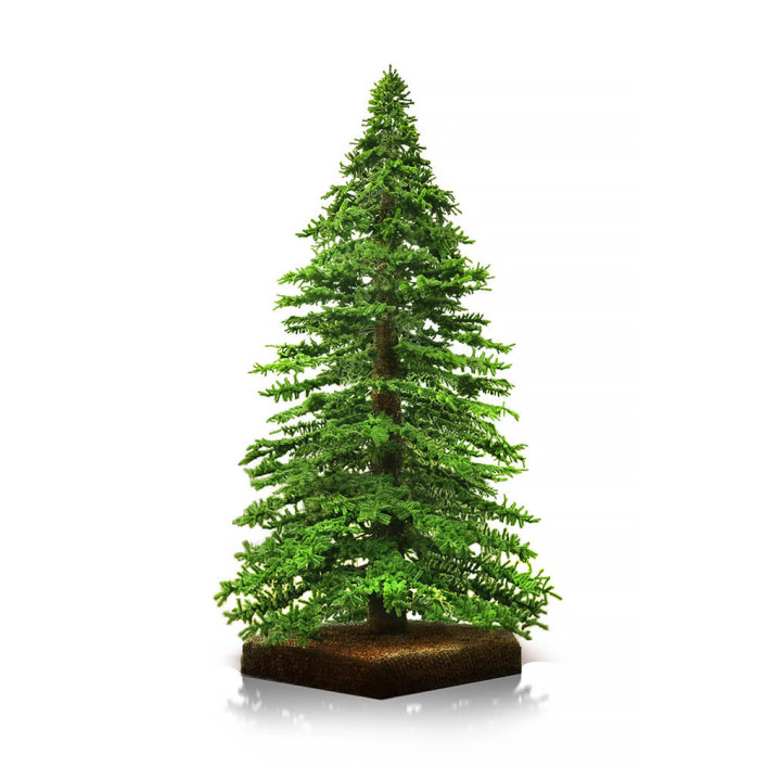 ALPINE TREE Nagy méretű 640cm Műfenyő ALPINE TREE Nagy méretű 640cm Műfenyő
