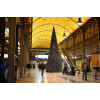 CONE Nagy méretű 1500cm Műfenyő CONE Nagy méretű 1500cm Műfenyő